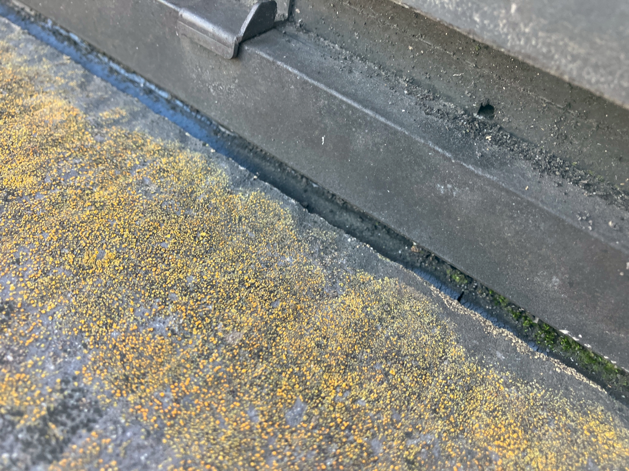 トップライトのシーリング材の劣化